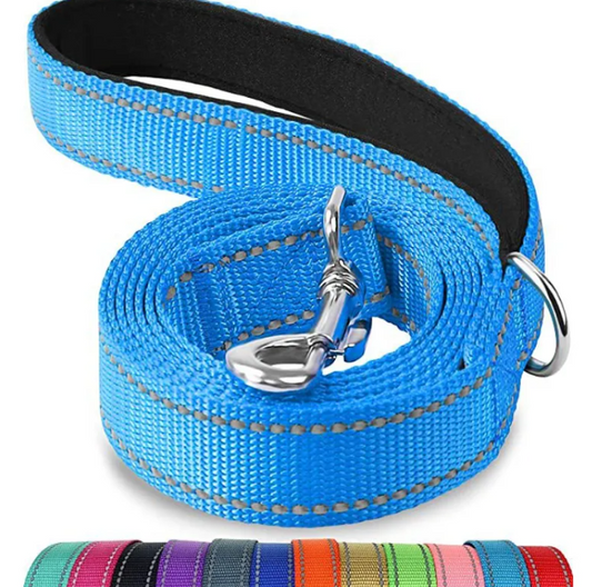 Pet Hand Holding Rope