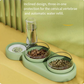 Automatic Pet Feeder with Water Fountain and Raised Stand